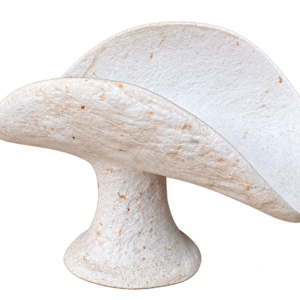 Textured Mushroom Sculpture
